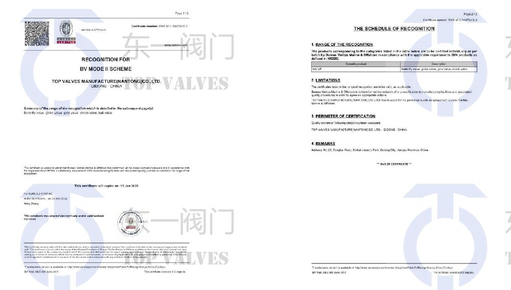 BV工廠型式認(rèn)可證書